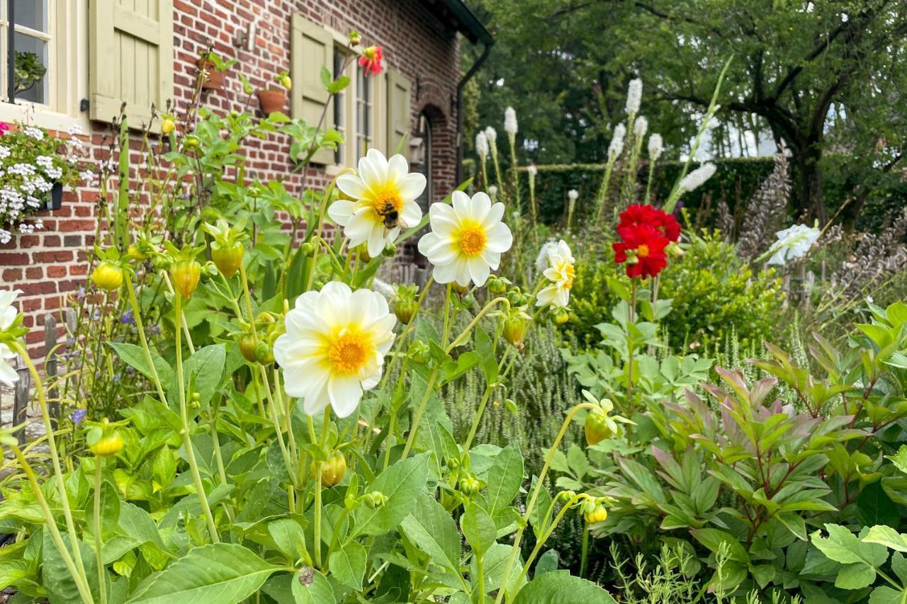 B&B De Paenhoeve Eksel Exterior foto